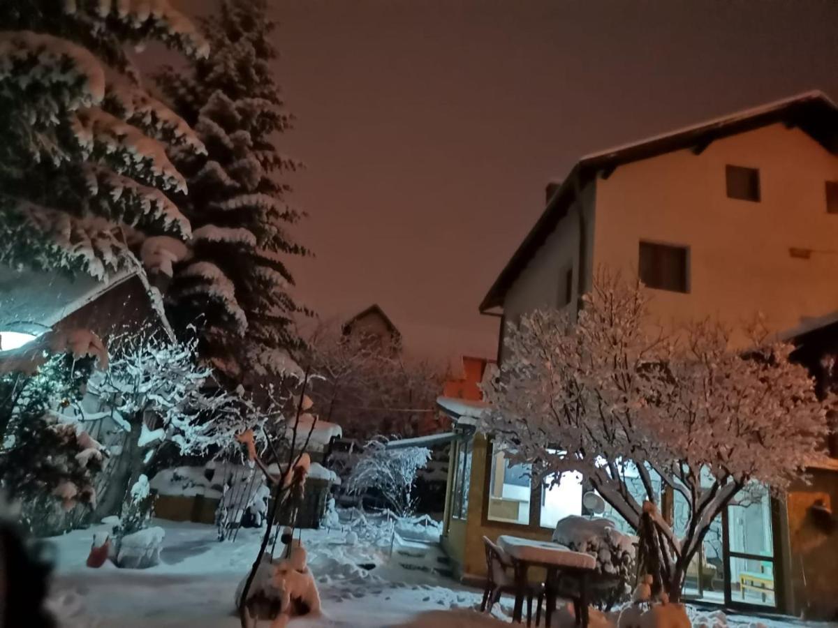 Zoso Home Buşteni Eksteriør billede